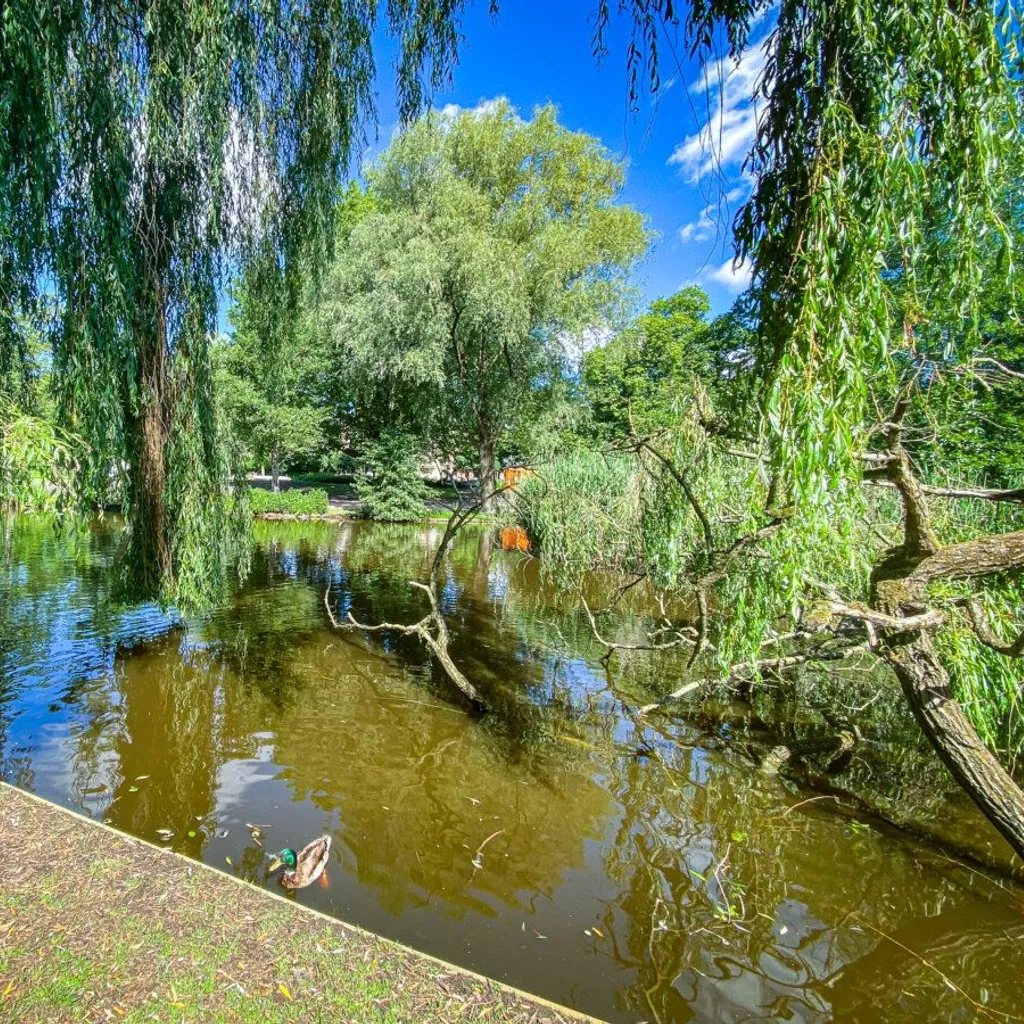 Sarphatipark - 3