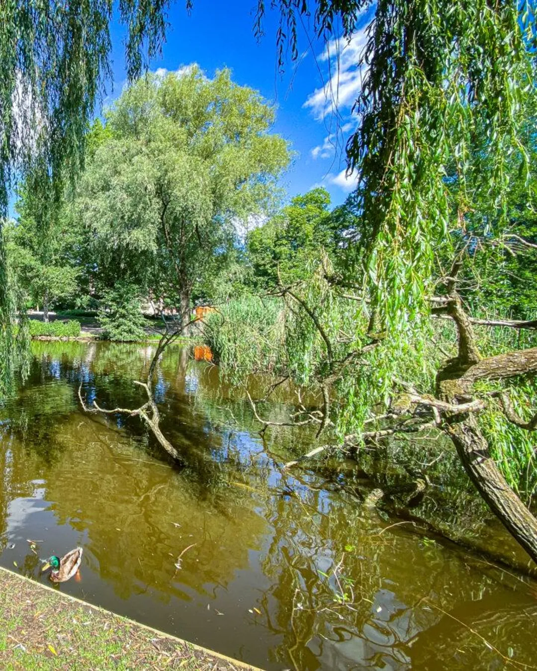 Gallery image 3