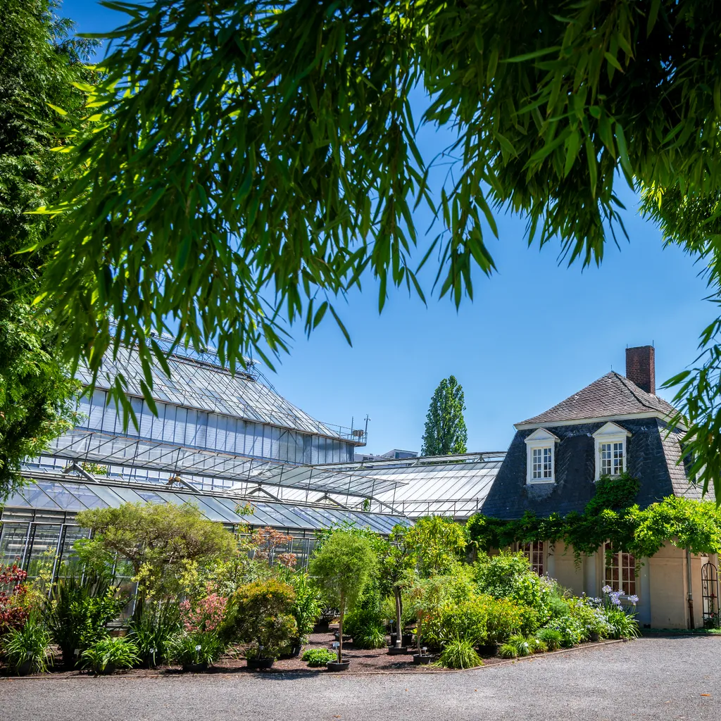 Heidelberg Botanical Garden - 1