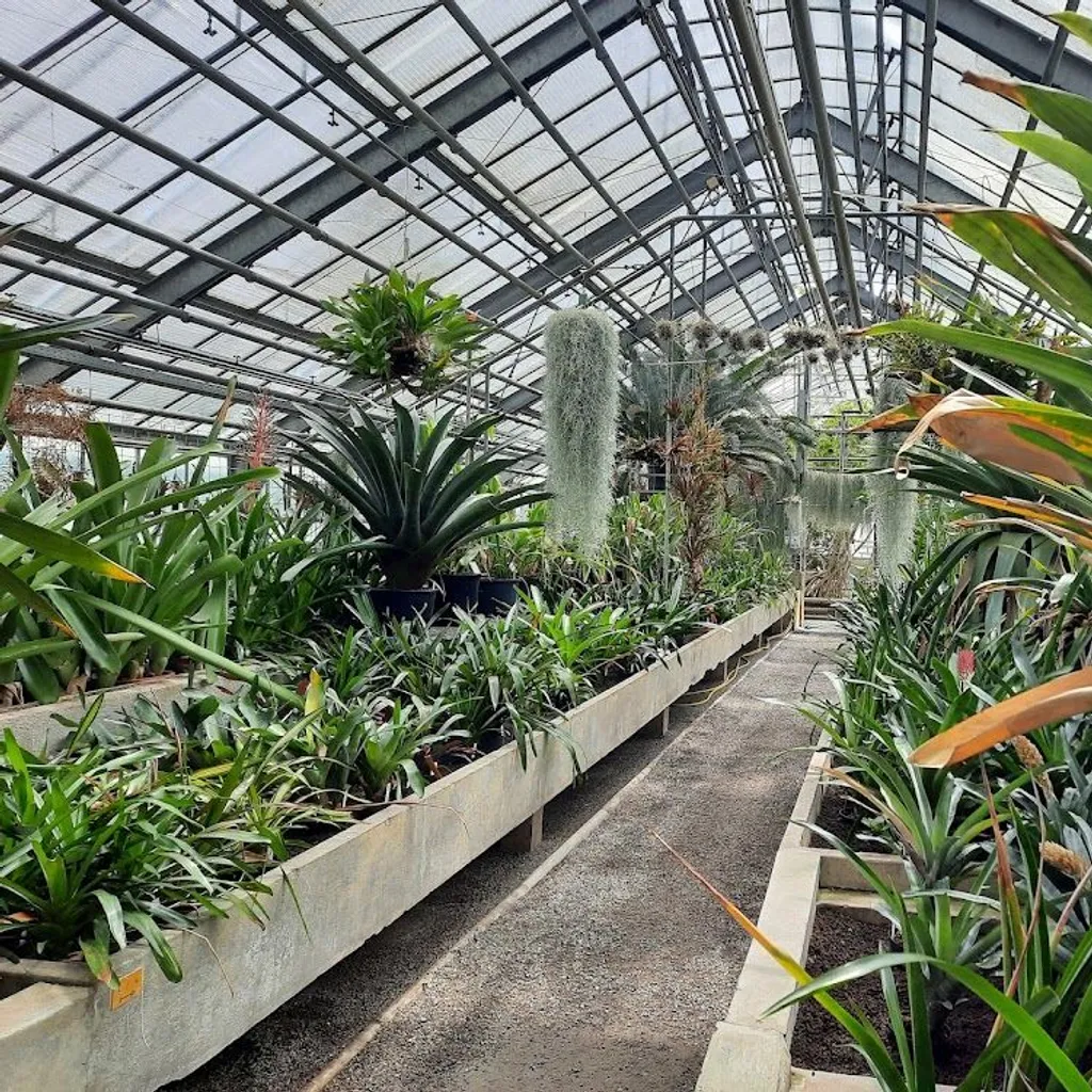 Heidelberg Botanical Garden - 3