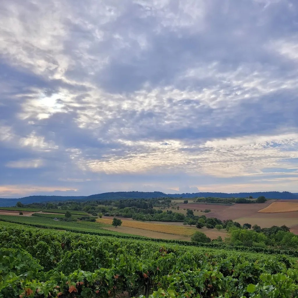 Weingut Klenert - 3