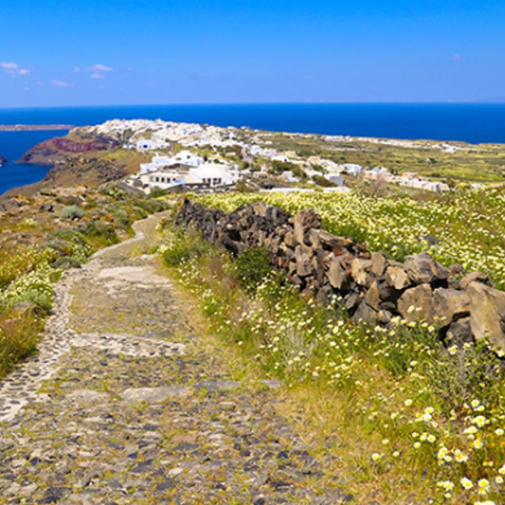 Oia to Fira Hike (Start) - 4