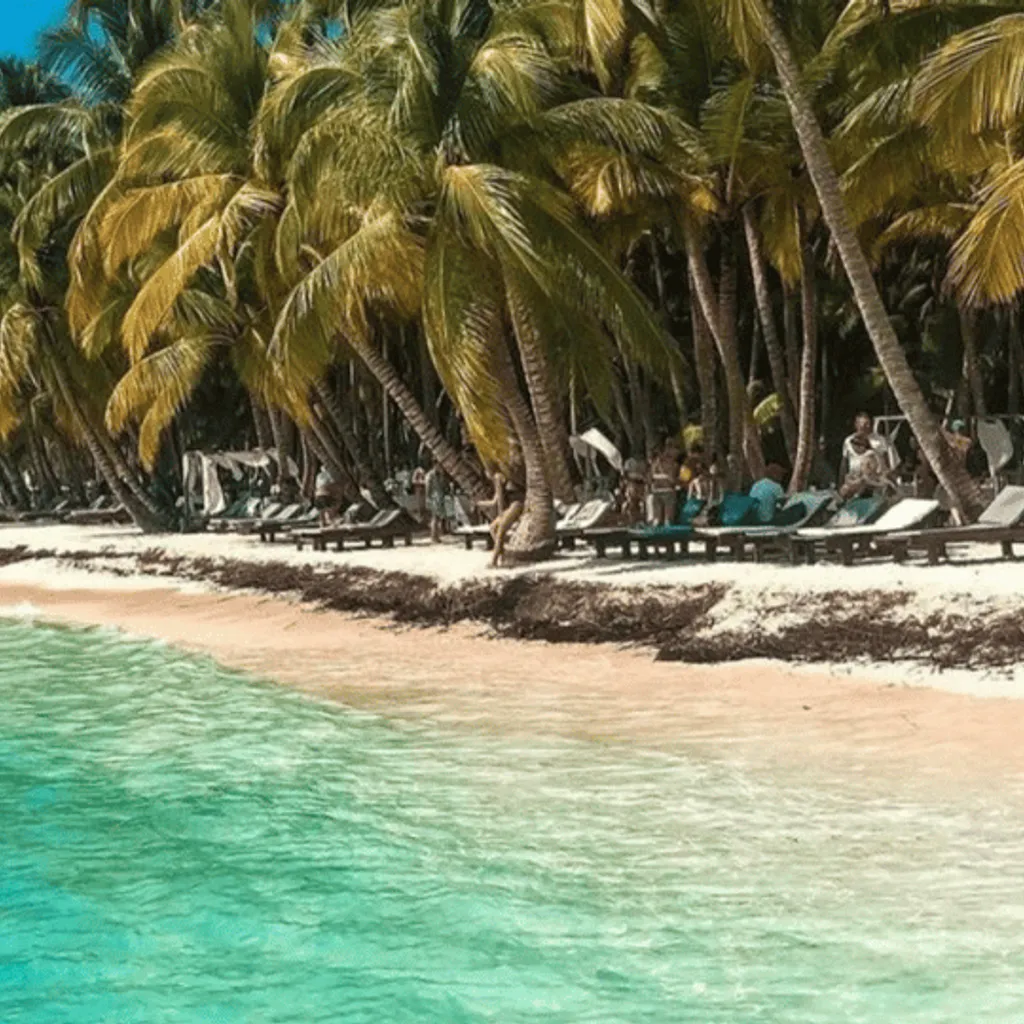 Saona Sun & Fun - 3