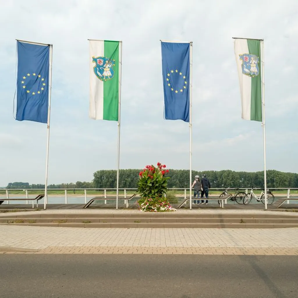 Rheinradweg - 4