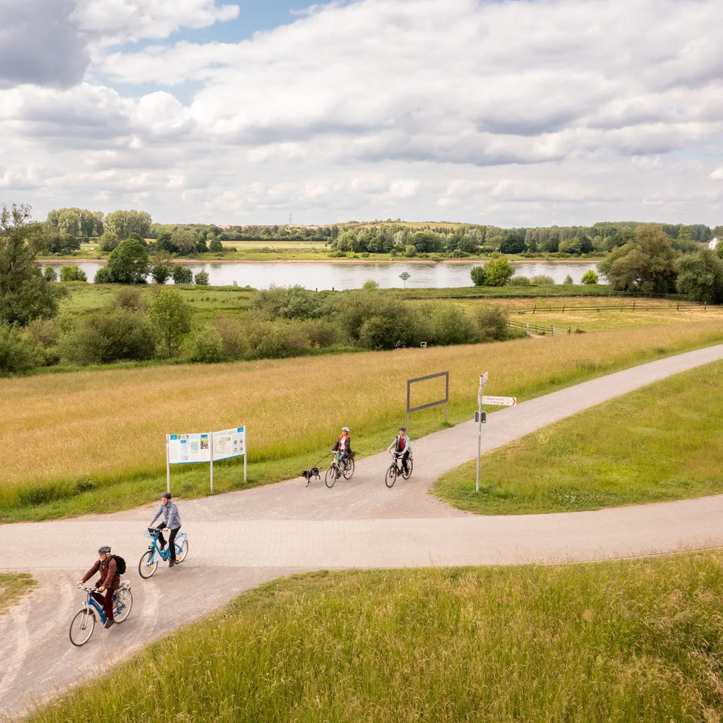 Rheinradweg - 2