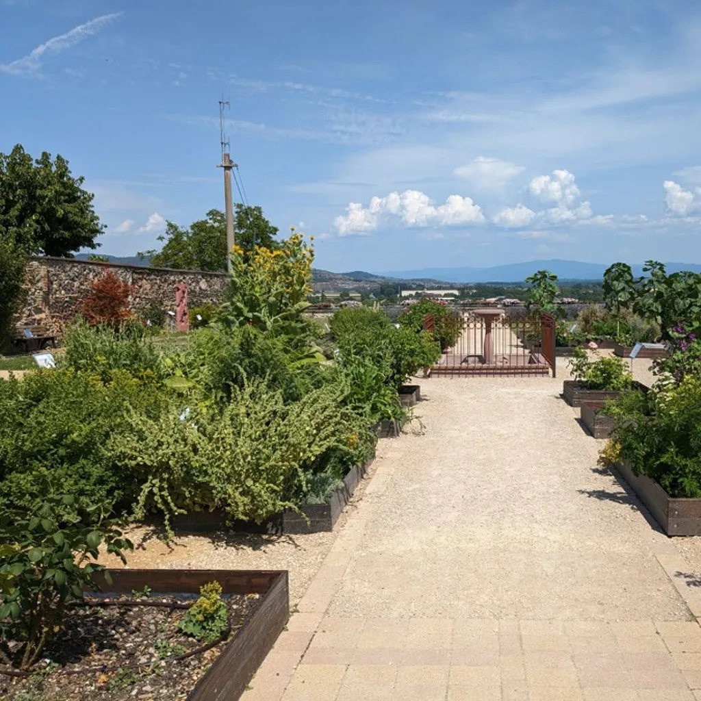 Franciscan Monastery Garden - 1