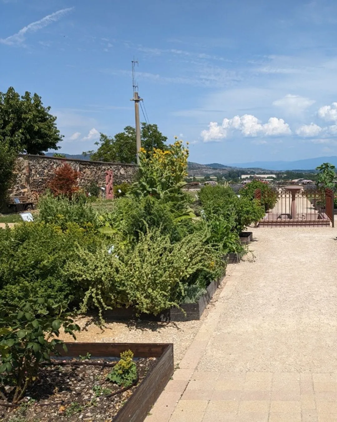 Gallery image 1