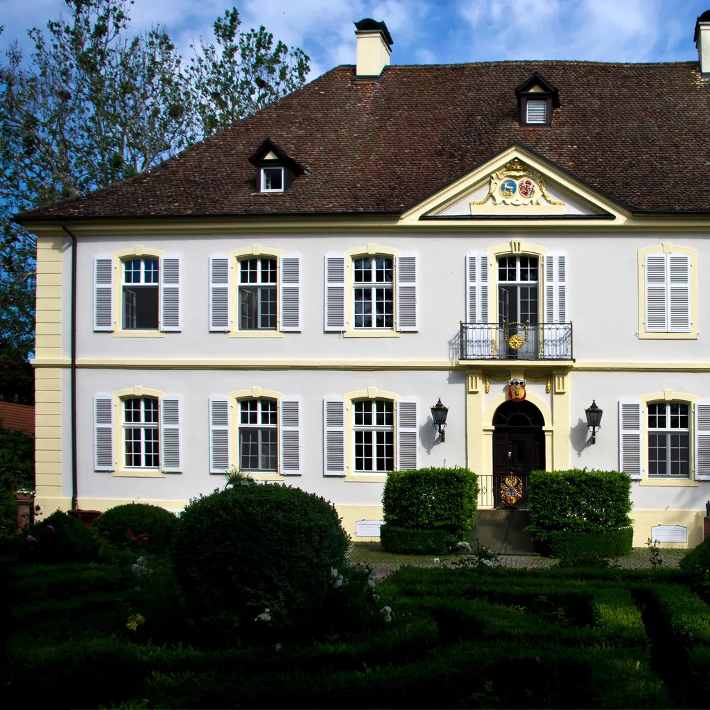 Schloss Rimsingen - 1