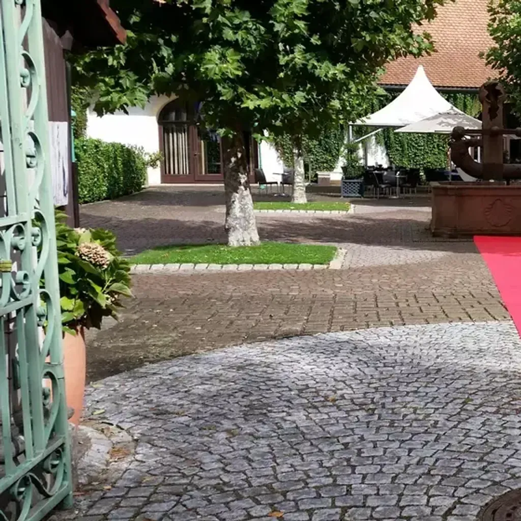 Schloss Rimsingen - 2