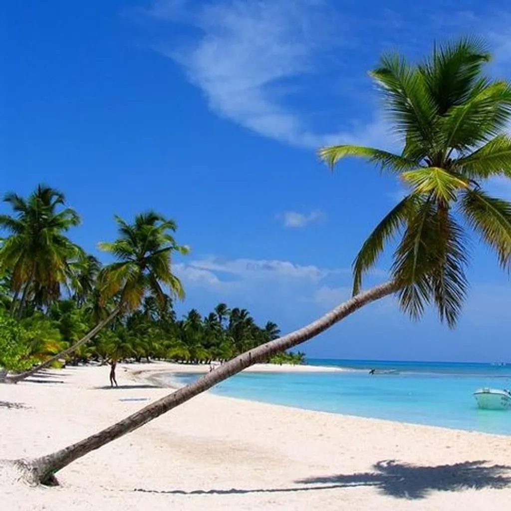 Isla Saona from Punta Cana - 4