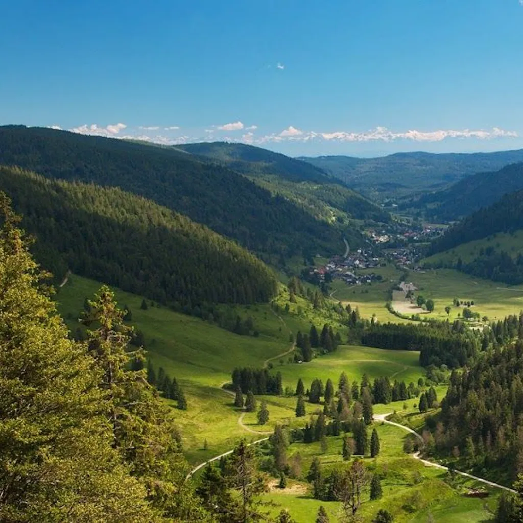 Black Forest Biosphere Reserve - 2
