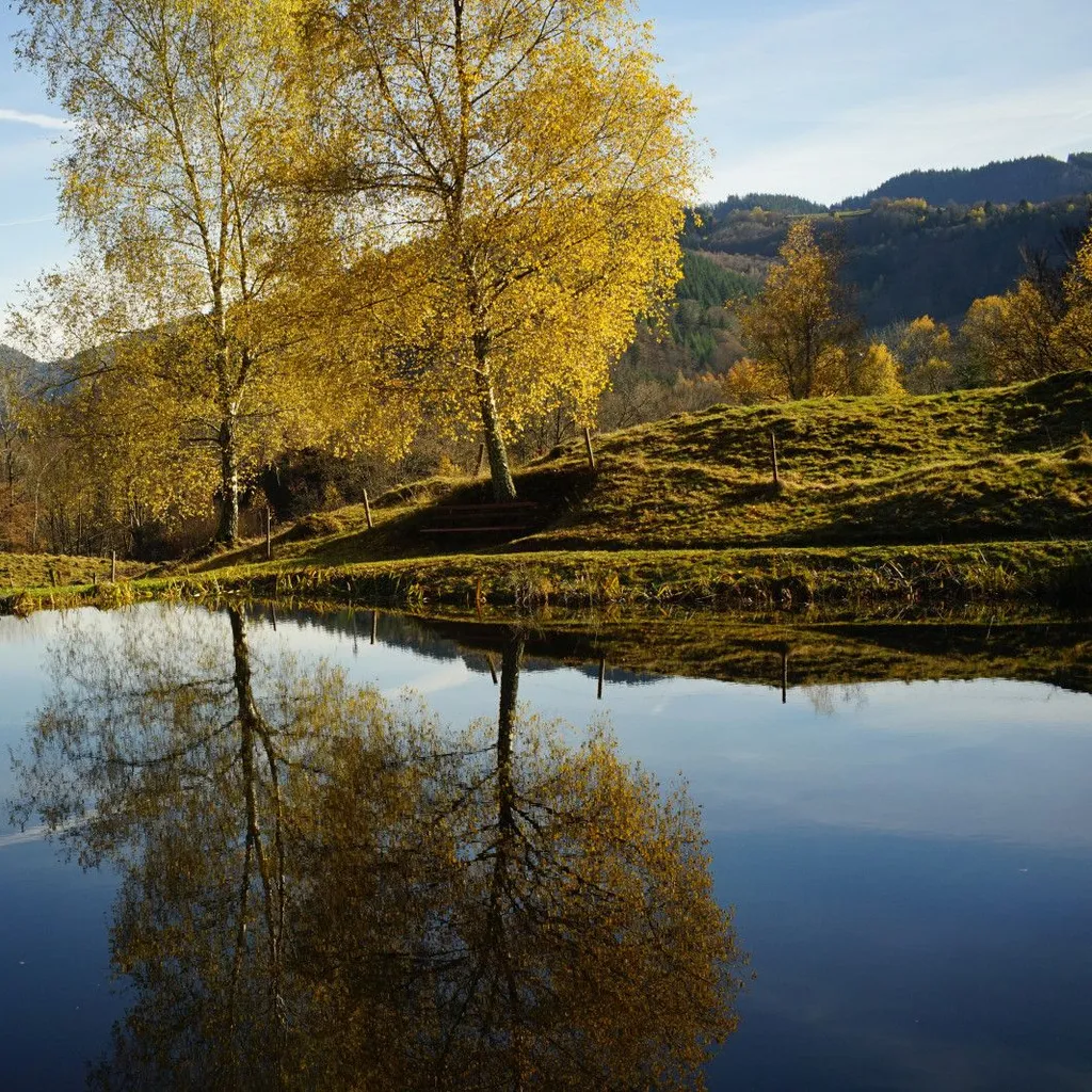 Black Forest Biosphere Reserve - 4
