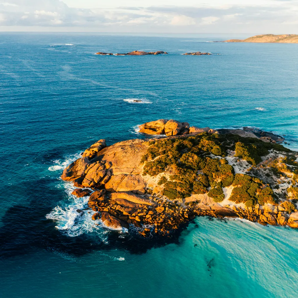 Thistle Cove - 2