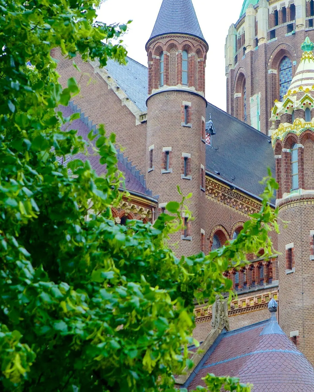 Gallery image 1