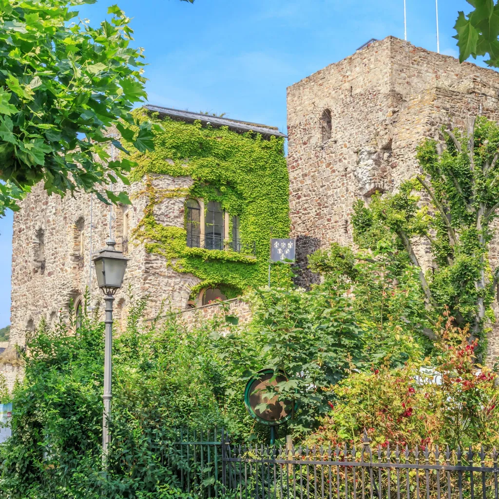 Brömserburg - 3