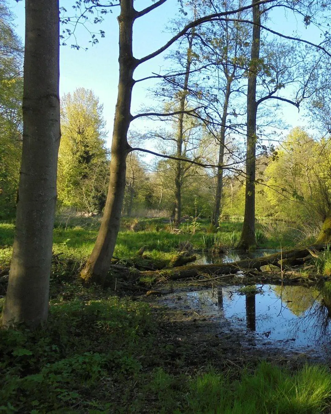 Gallery image 1