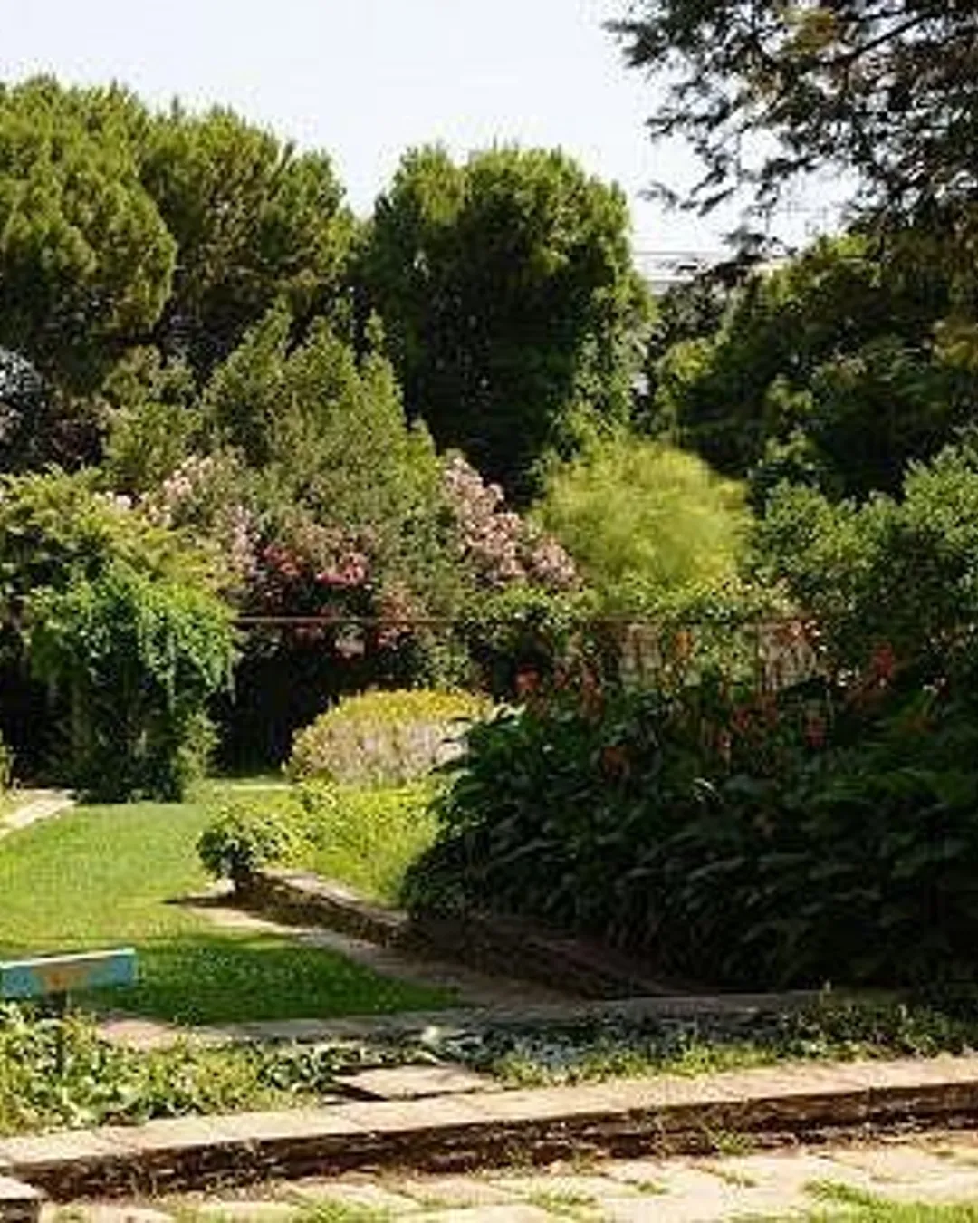 Gallery image 1