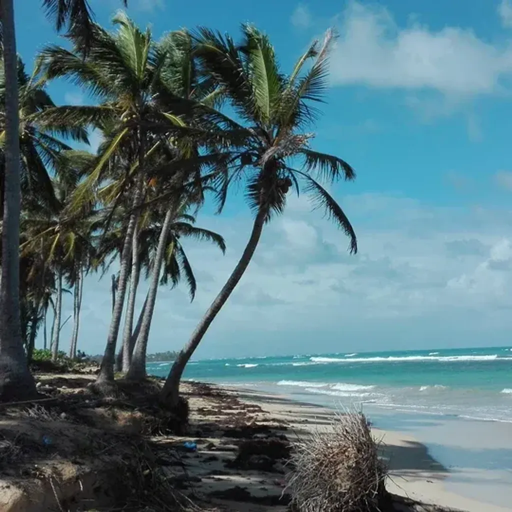 Playa Uvero Alto bavaro - 5