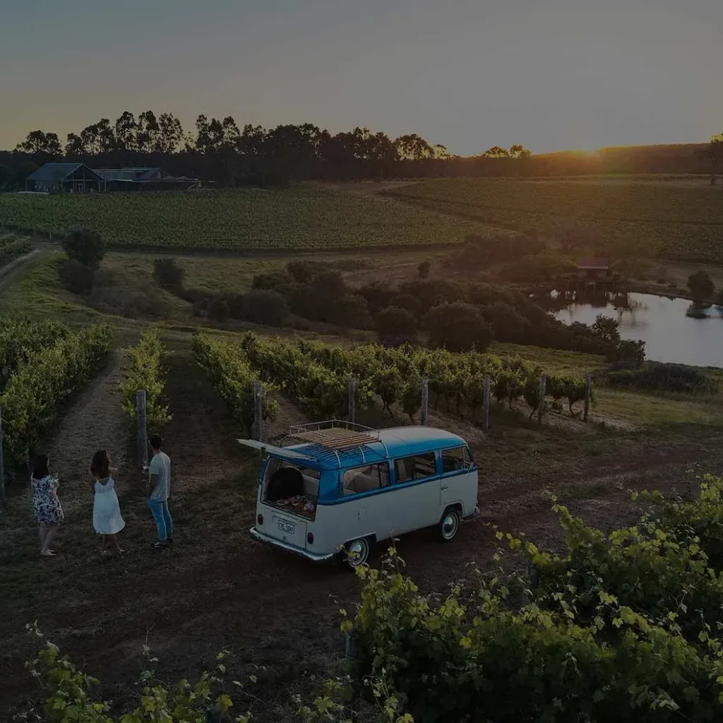 Pour and Explore Private Wine Tours - 6