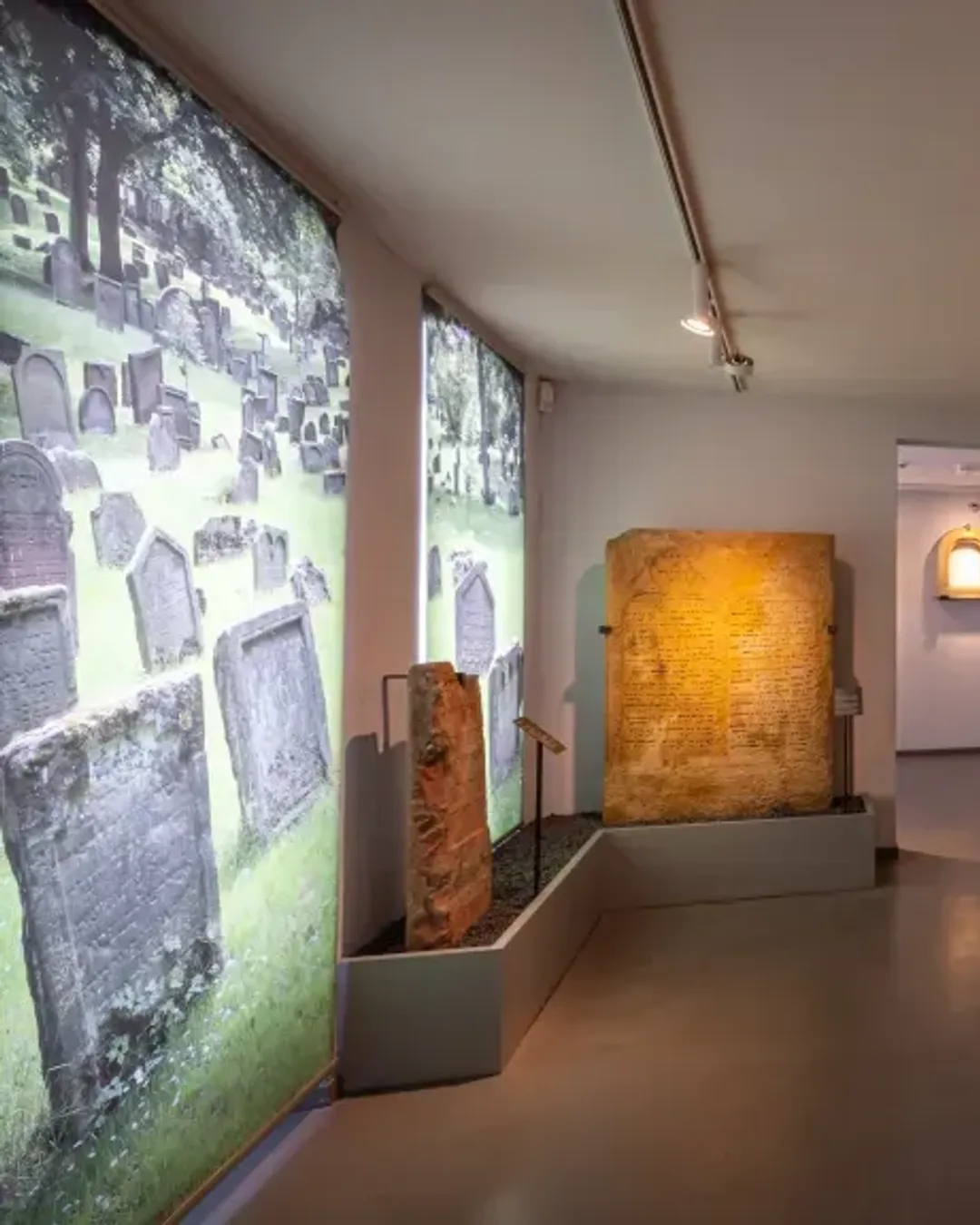 Gallery image 2