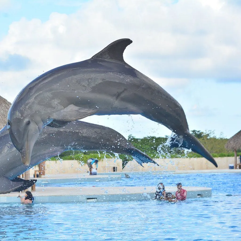 Punta cana Discovery - 3
