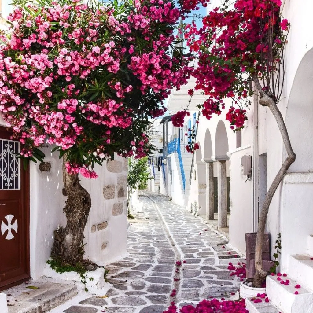 The View of Mykonos - 1