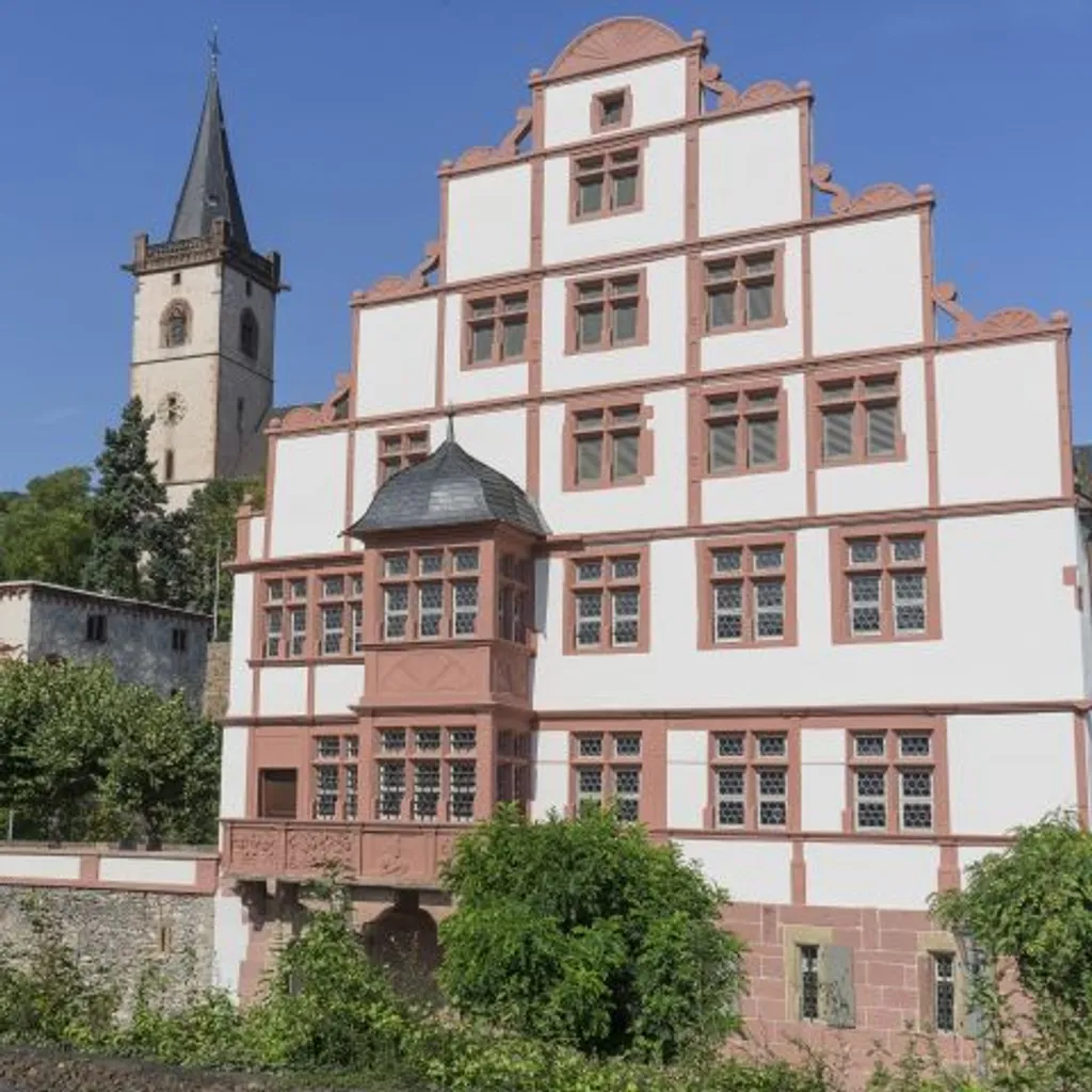 Rheinsteig - 6
