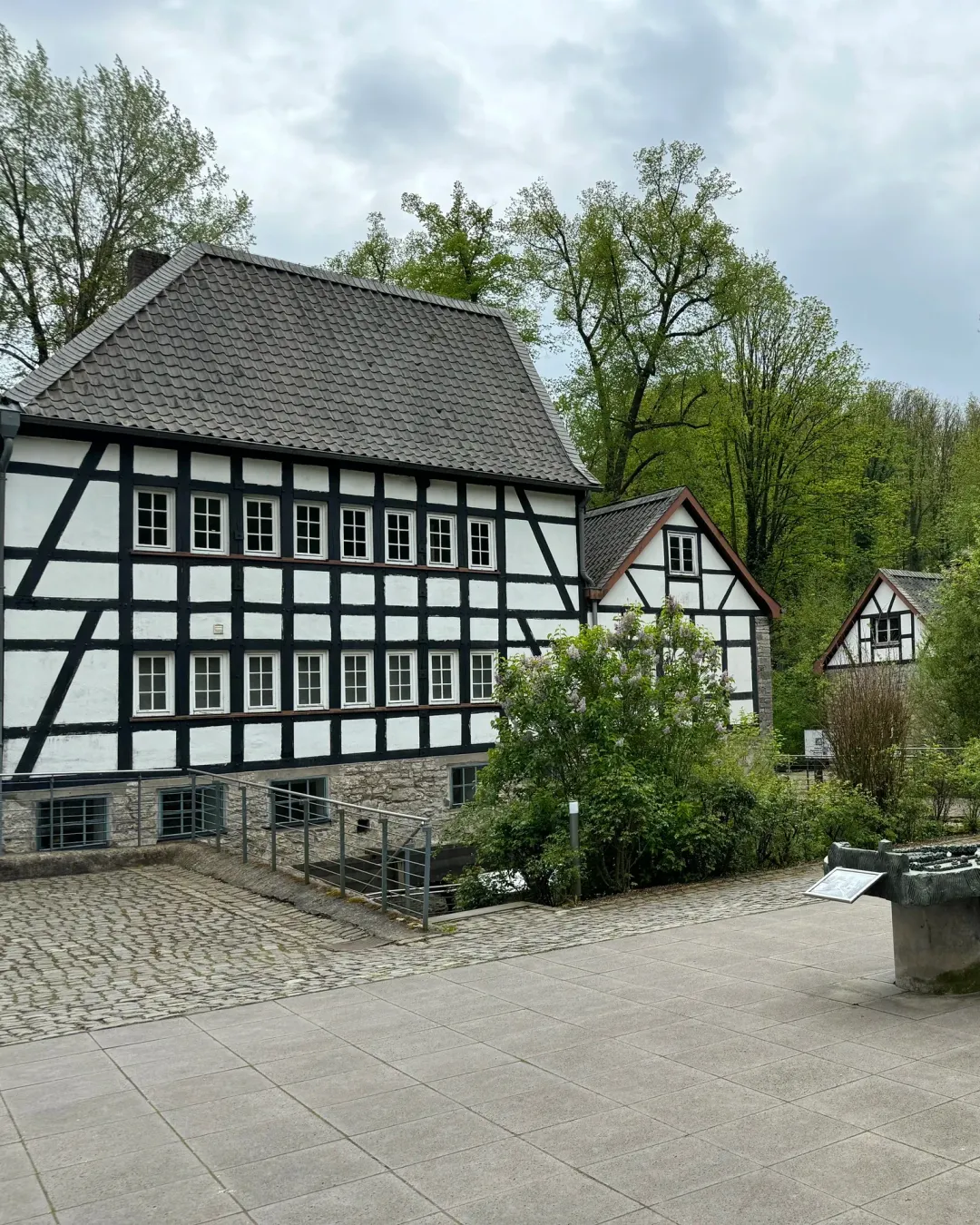 Gallery image 4