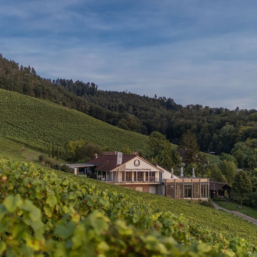 Weingut Schloss Ortenberg - 1
