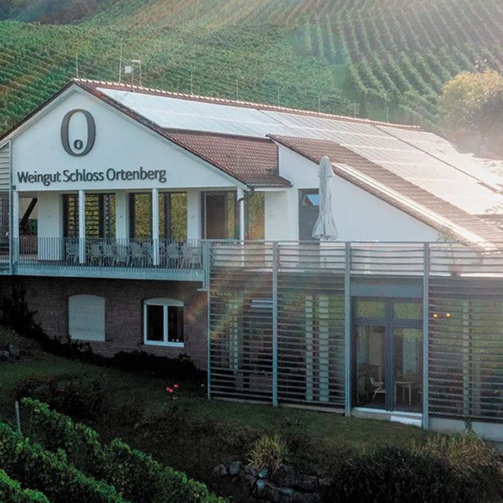 Weingut Schloss Ortenberg - 2