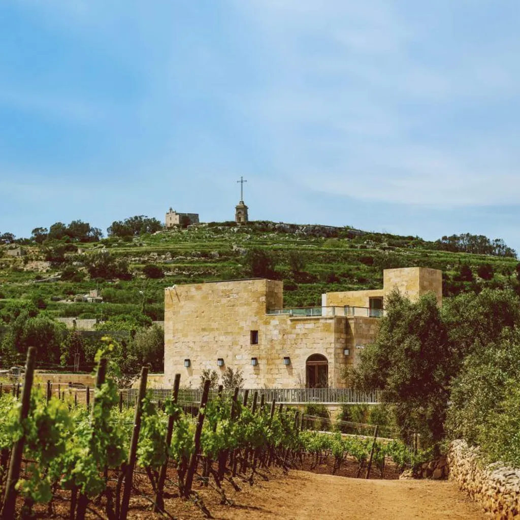 Ta’ Betta Wine Estates - 4