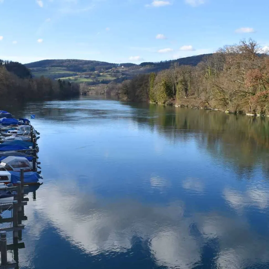 Wanderweg Rheinufer - 2