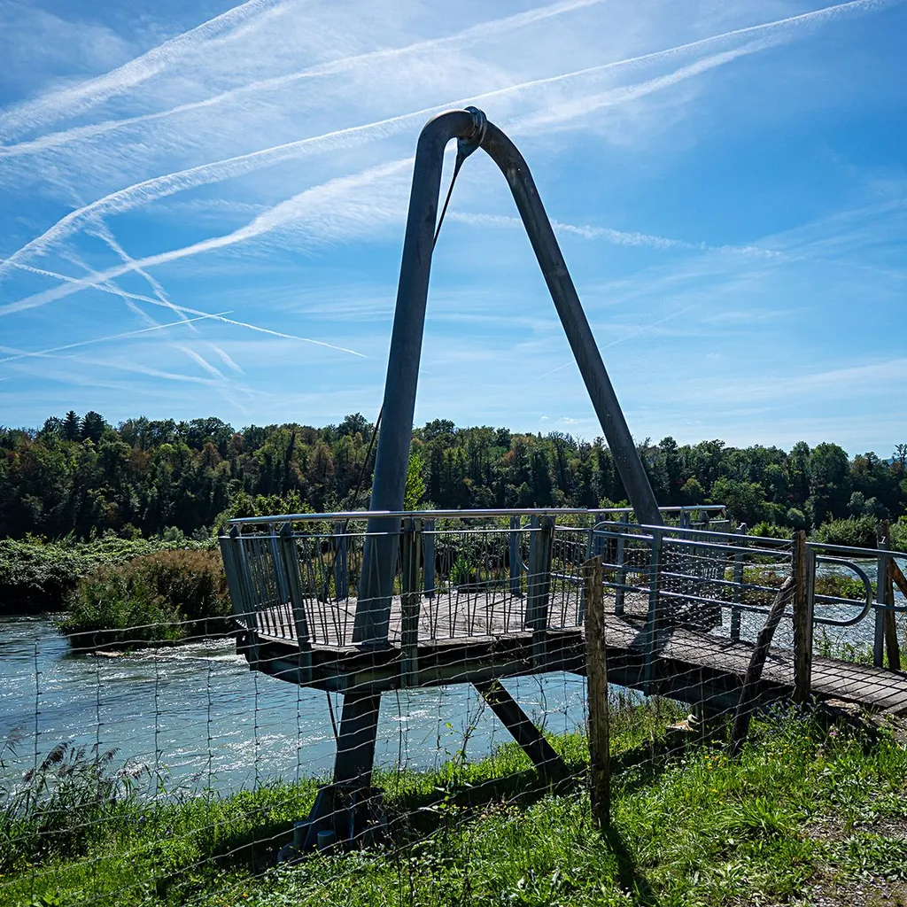 Wanderweg Rheinufer - 4