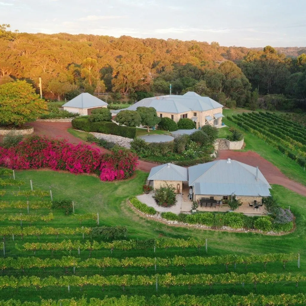 Cape Naturaliste Vineyard - 1