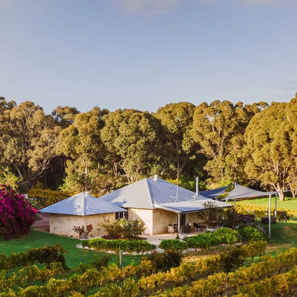 Cape Naturaliste Vineyard - 2