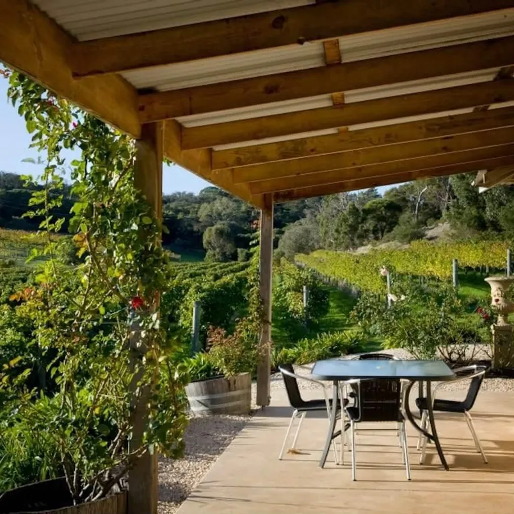 Cape Naturaliste Vineyard - 5