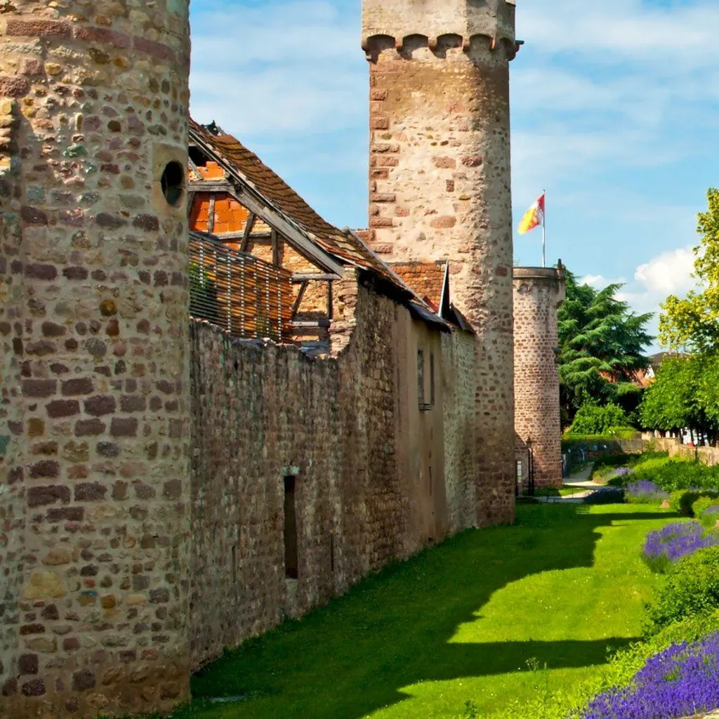 Ophorus Day Trips & Wine Tours in Alsace - 1