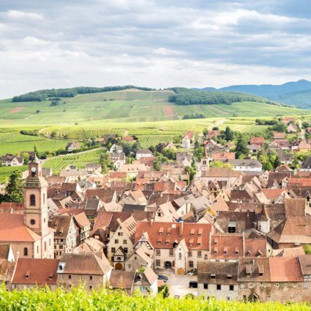 Ophorus Day Trips & Wine Tours in Alsace - 3