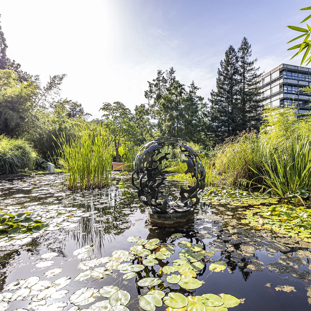 Universität Freiburg Botanical Garden - 3