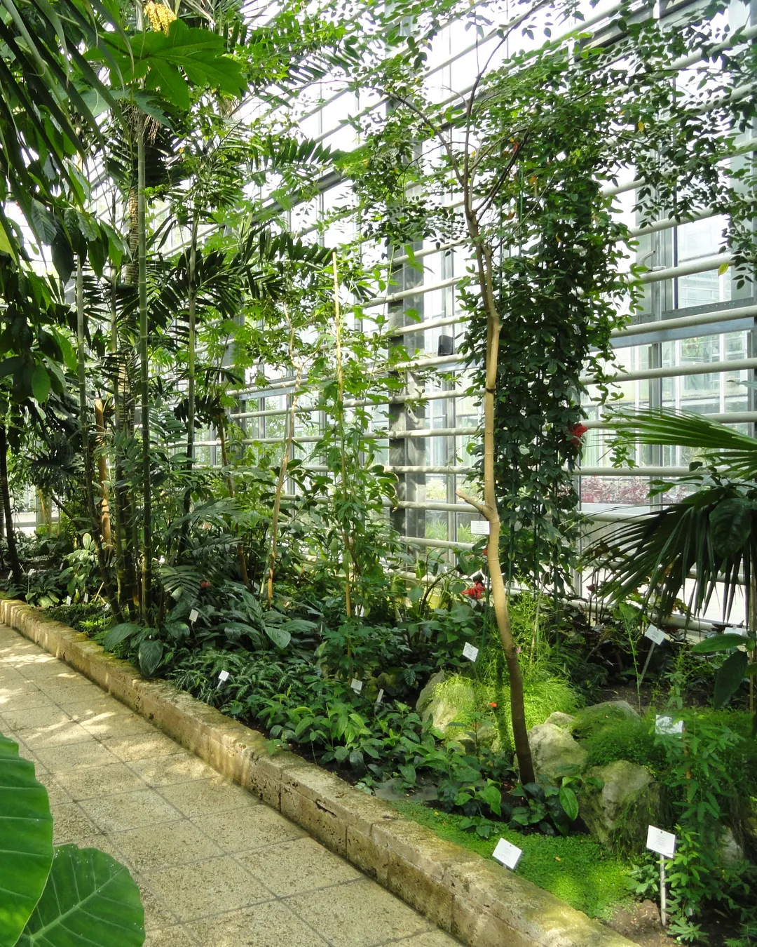 Gallery image 5