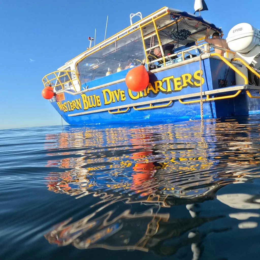 Western Blue Dive & Charters - 4