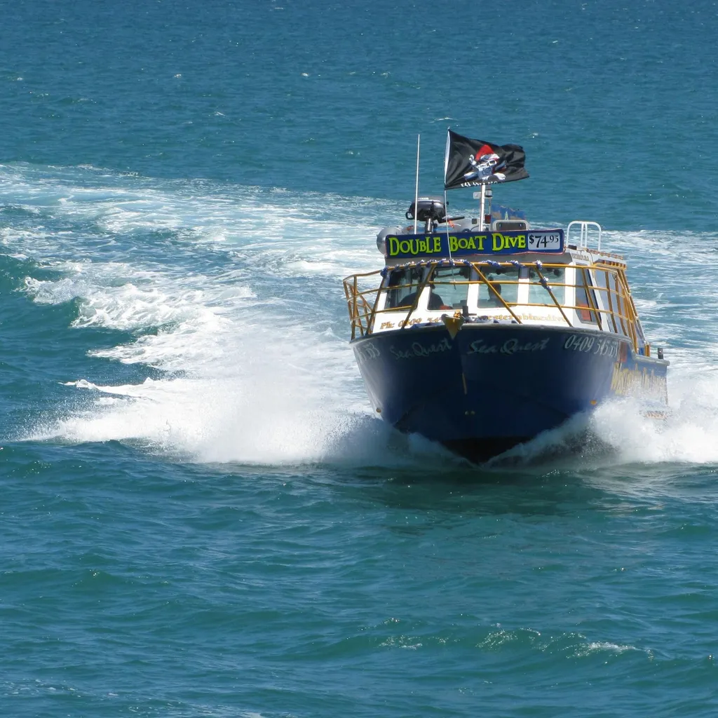 Western Blue Dive & Charters - 1