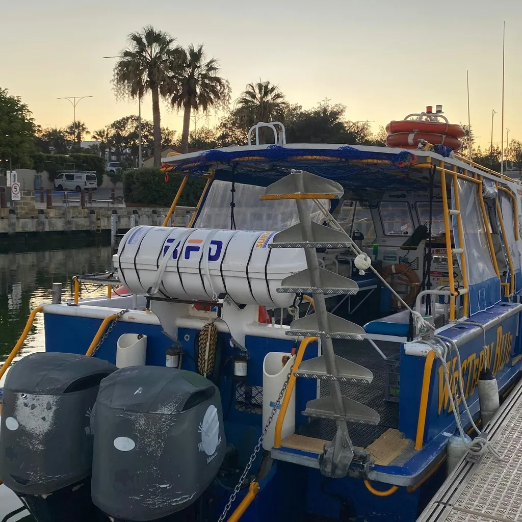Western Blue Dive & Charters - 2