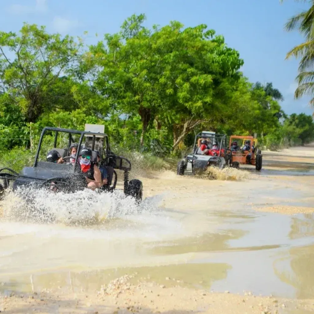 Ms Dreamers - Excursiones Punta Cana Tours - 6