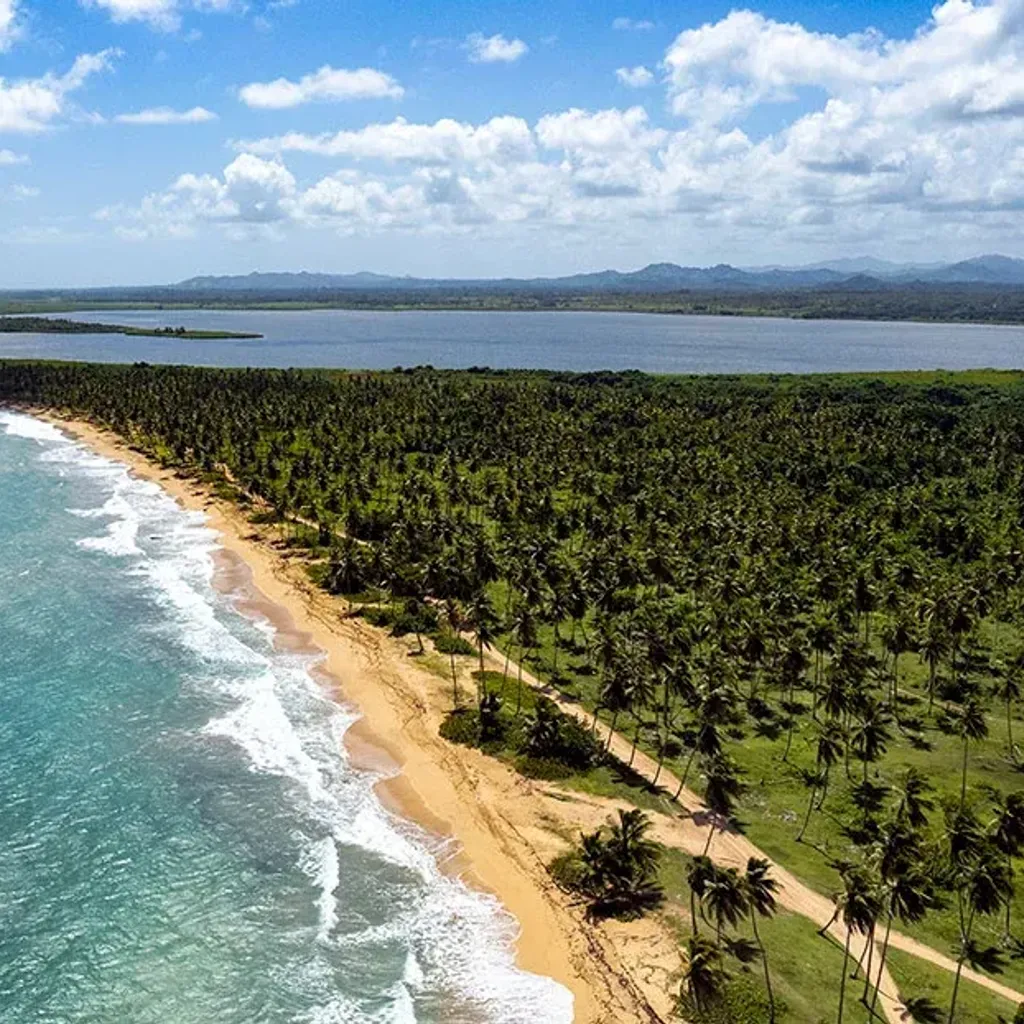 Laguna del Limon - 2