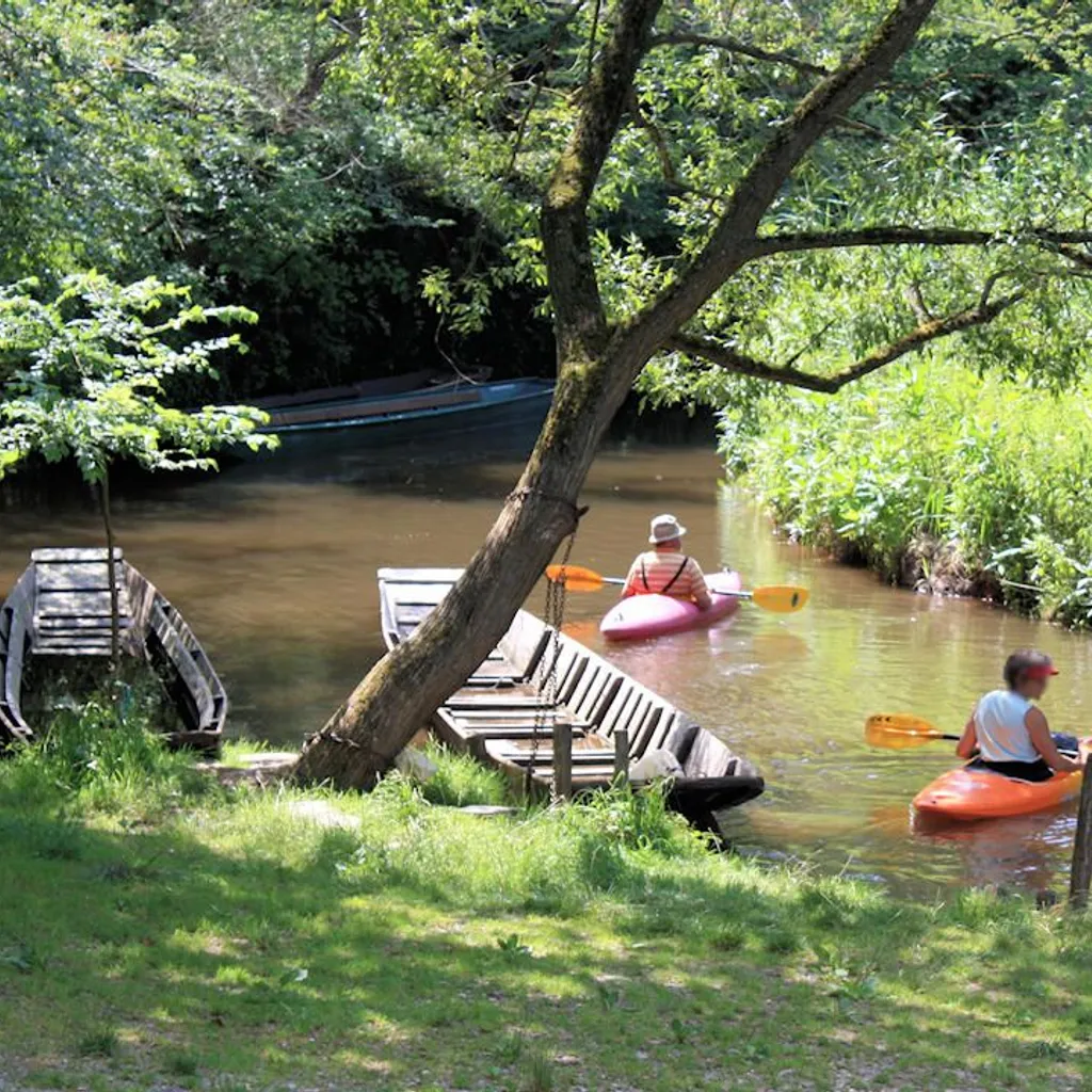 Taubergießen Nature Reserve - 2
