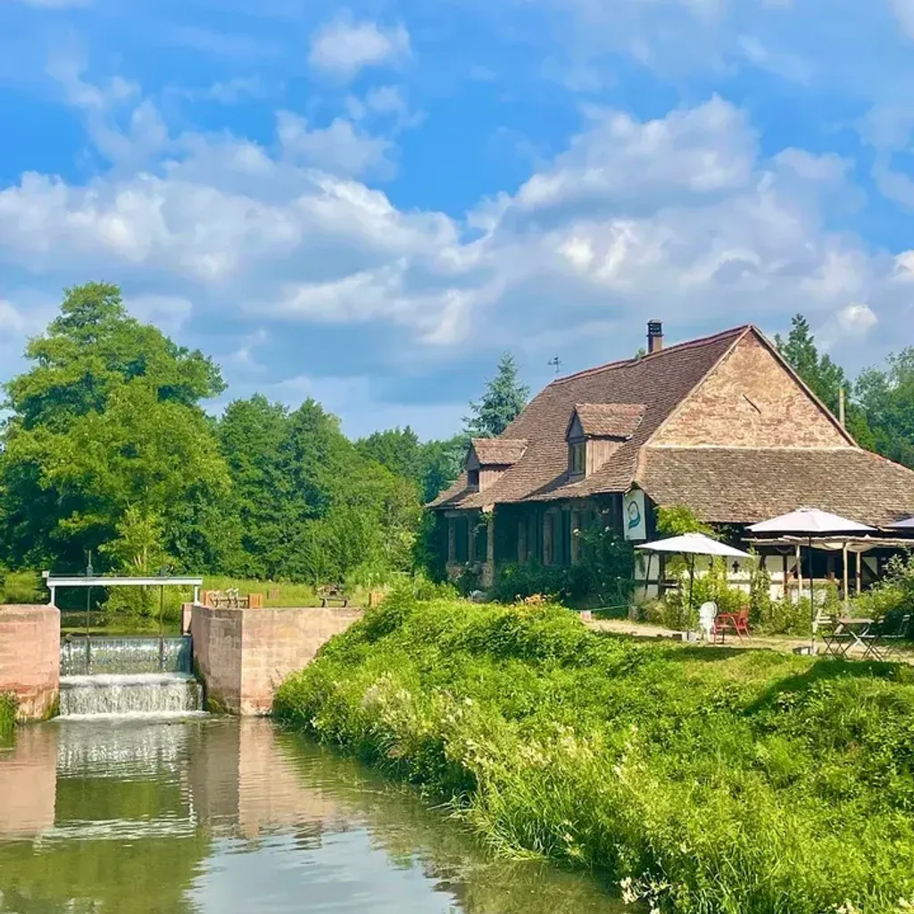 Taubergießen Nature Reserve - 3