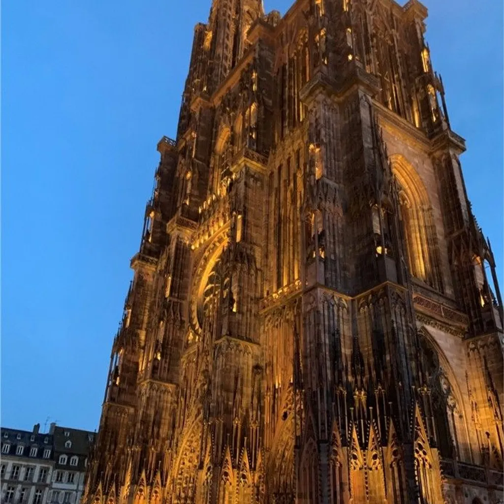 Cathédrale Notre-Dame-de-Strasbourg - 8