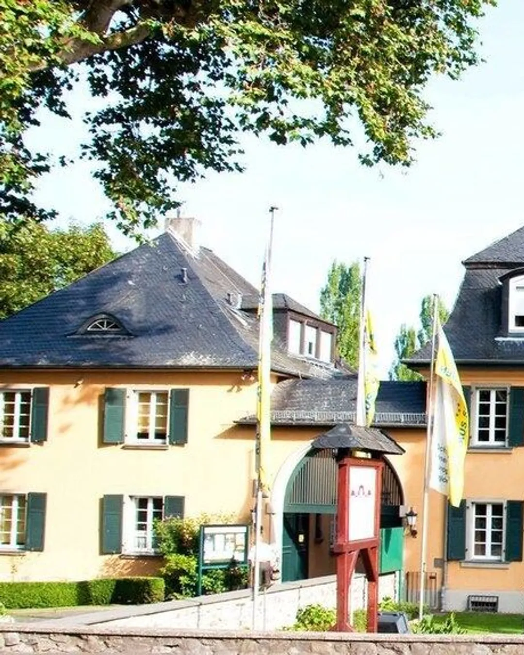 Gallery image 5