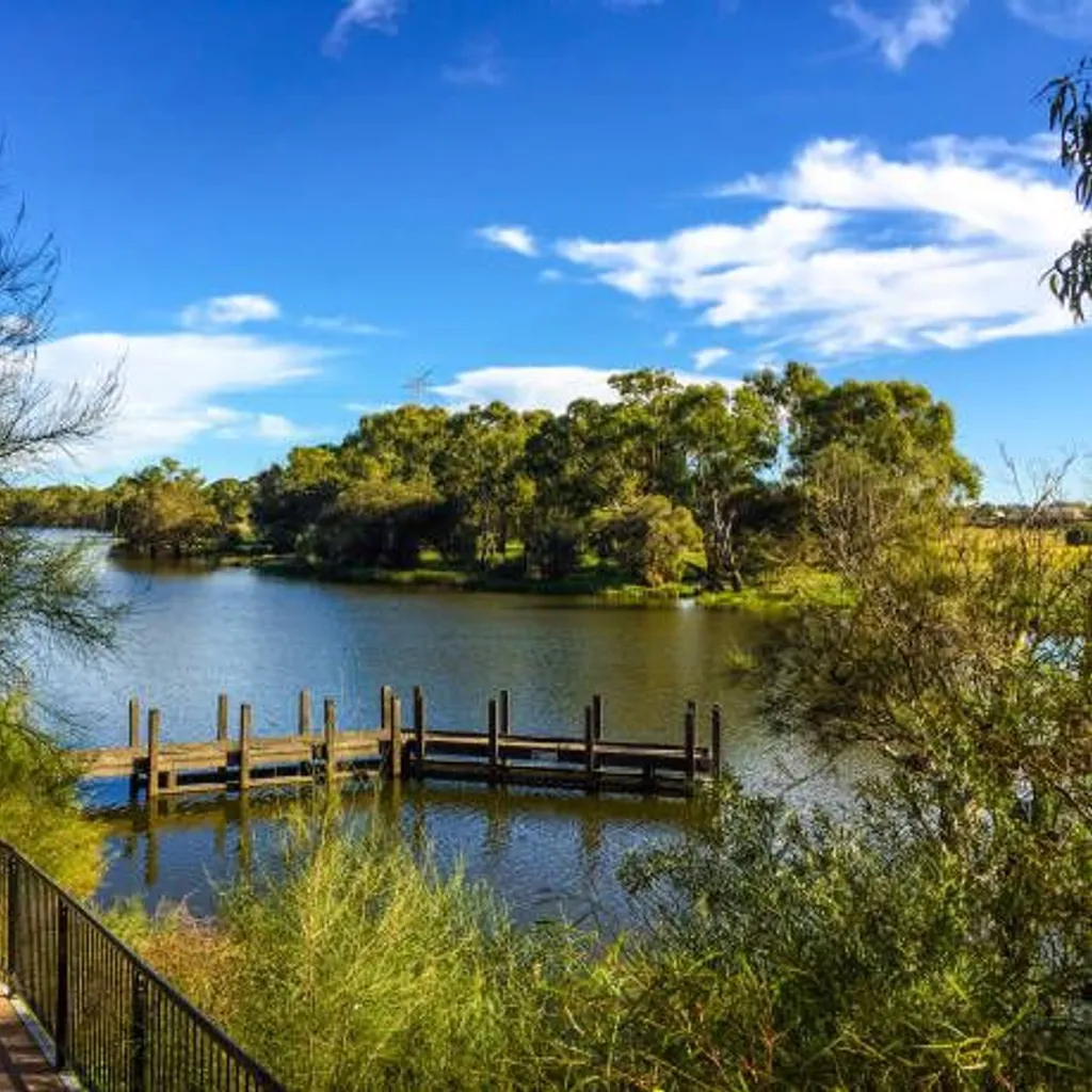 Swan River - 2